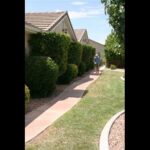 Alzheimers Care Facility St.George Utah Area